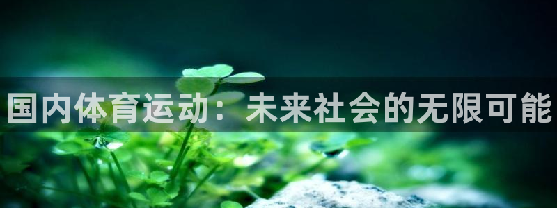 3377体育官网下载平台注册：国内体育运动：未来社会的无限可