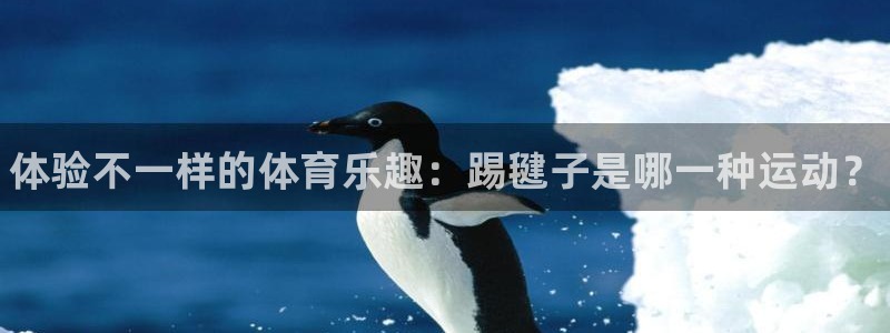 3377体育官方正版app娱乐代理怎么样：体验不一样的体育乐