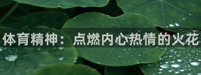 3377体育官网下载招商电话是多少啊：体育精神：点燃内心热情