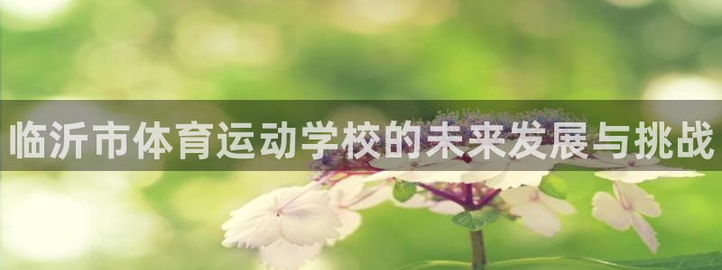 德国3377体育官方正版app集团：临沂市体育运动学校的未来