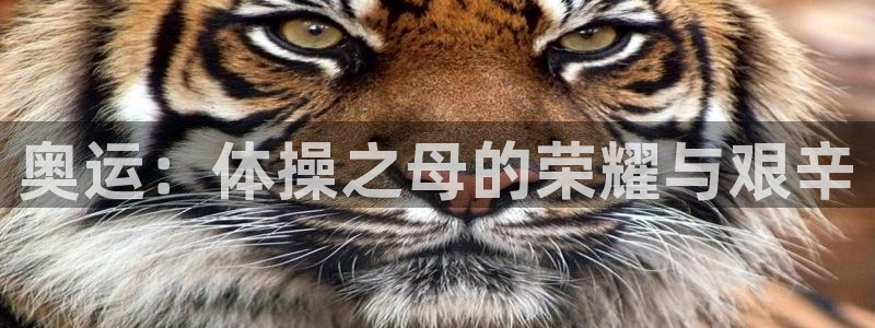 3377体育官方正版app五金厂：奥运：体操之母的荣