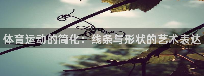 3377体育官网下载注册：体育运动的简化：线条与形状的艺术表