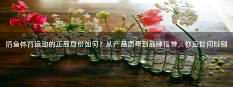 3377体育官方正版app新能源：箭鱼体育运动的正品身份如何