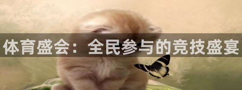3377体育官方正版app代理