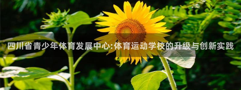 3377体育官网下载平台注册：四川省青少年体育发展中心:体育