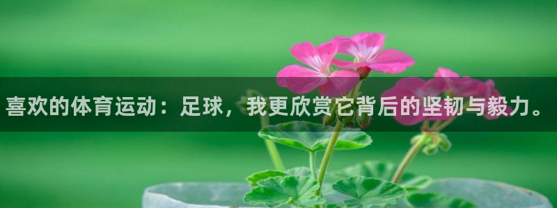 3377体育官网下载招商电话号码是多少号：喜欢的体育运动：足