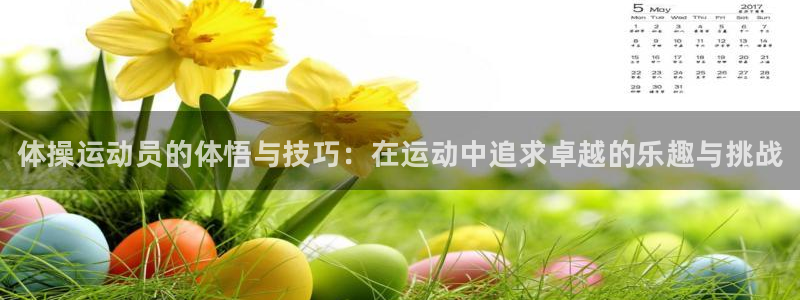 3377体育官方正版app新能源：体操运动员的体悟与技巧：在