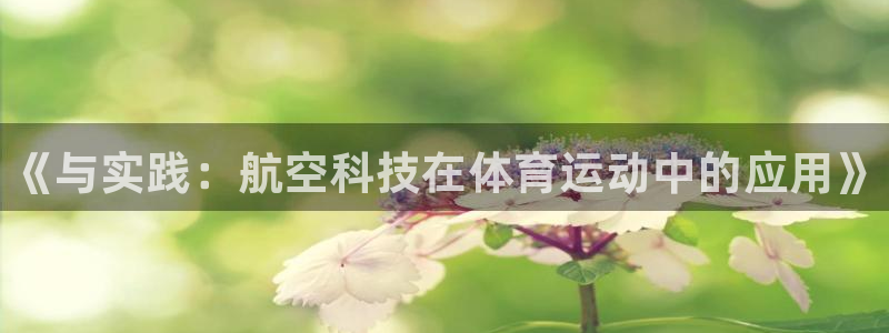 3377体育官方正版app集团简介