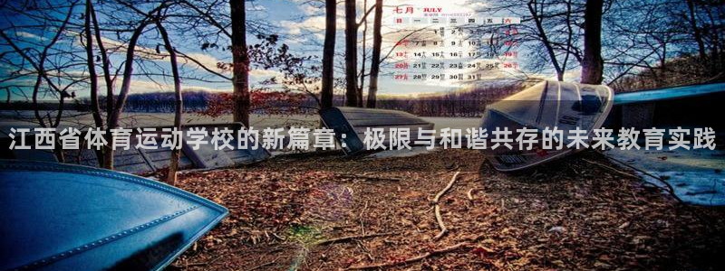 3377体育官网下载注册：江西省体育运动学校的新篇章：极限与