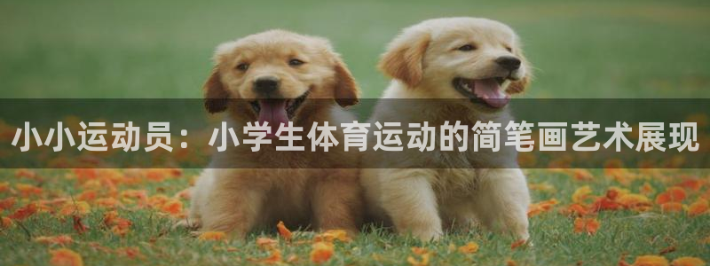 3377体育官方正版app娱乐：小小运动员：小学生体育运动的