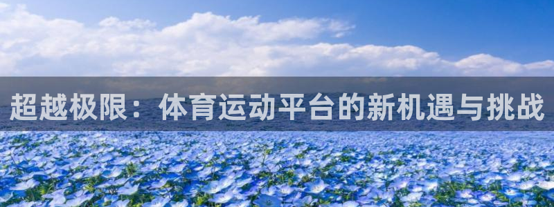 3377体育官网下载招商电话：超越极限：体育运动平台的新机遇