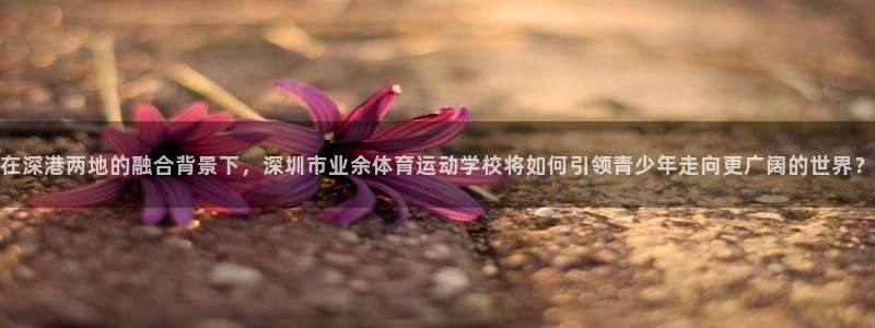 3377体育官方正版app娱乐是那个系列的台子：在深港两地的