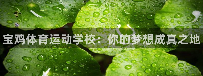 3377体育官方正版app娱乐40996：宝鸡体育运