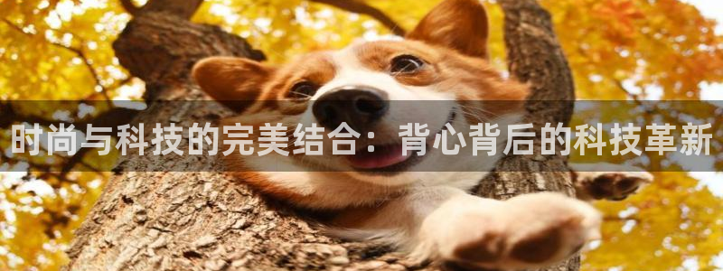 3377体育官网下载：时尚与科技的完美结合：背心背后