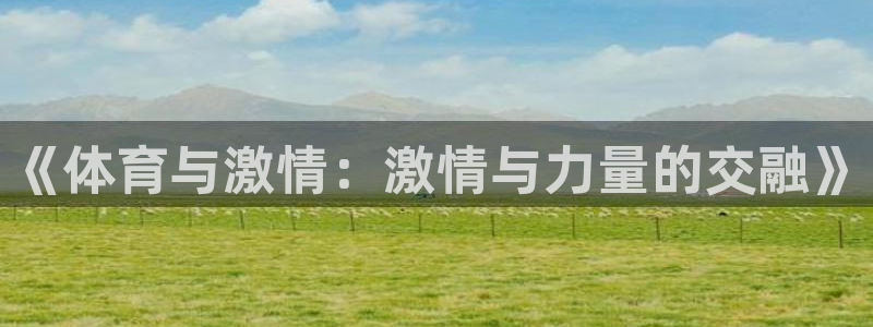 海南3377体育官网下载发展怎么样：《体育与激情：激