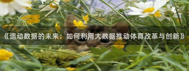 3377体育官方正版app集团官网首页：《运动数据的未来：如
