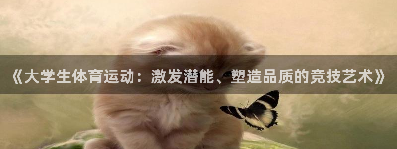 3377体育官方正版app集团logo