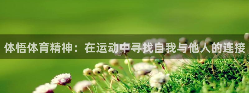 3377体育官方正版app官方