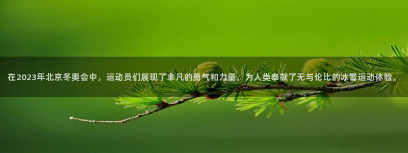 3377体育官方正版app娱乐：在2023年北京冬奥会中，运