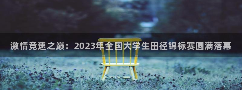 3377体育官网下载招商电话：激情竞速之巅：2023年全国大