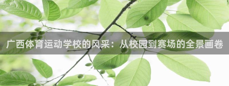 3377体育官方正版app娱乐下载