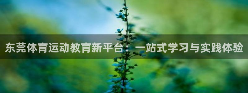 3377体育官网下载平台注册流程视频：东莞体育运动教育新平台