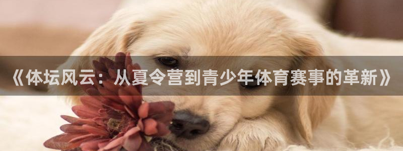 3377体育官方正版app娱乐首页官网下载