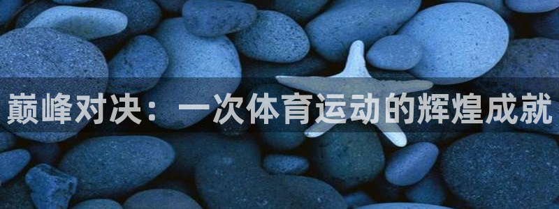 3377体育官方正版app五金厂：巅峰对决：一次体育运动的辉