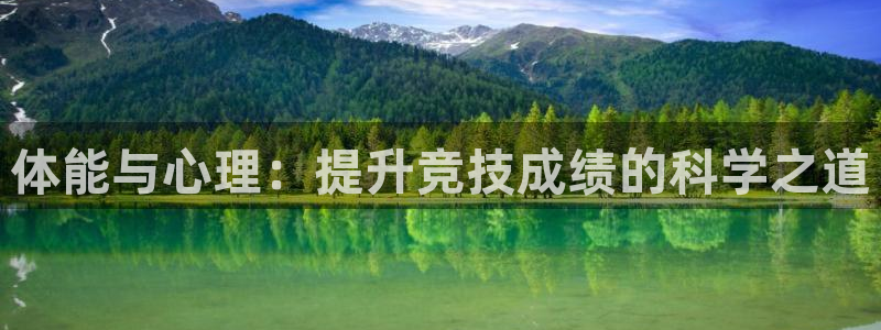 3377体育官方正版app神州