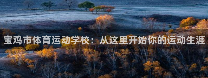 3377体育官网下载平台注册要钱吗安全吗：宝鸡市体育运动学校