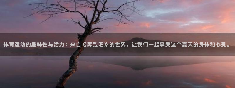 3377体育官方正版app官网:体育运动的趣味性与活力:来自