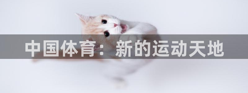 3377体育官方正版app官方:中国体育:新的运动天地