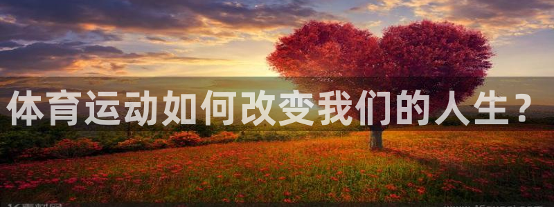 3377体育官方正版app五金厂：体育运动如何改变我