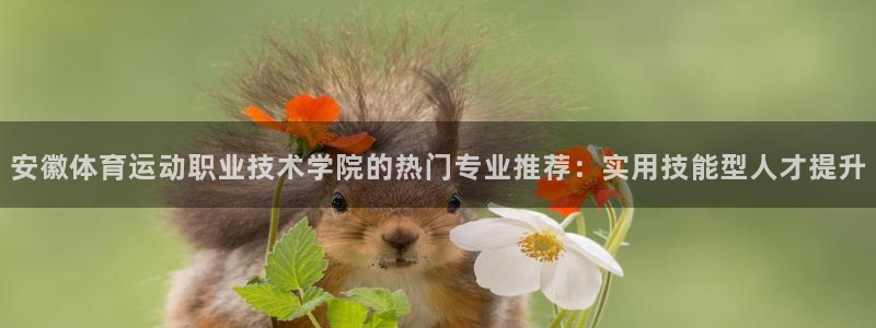 3377体育官网下载招商电话